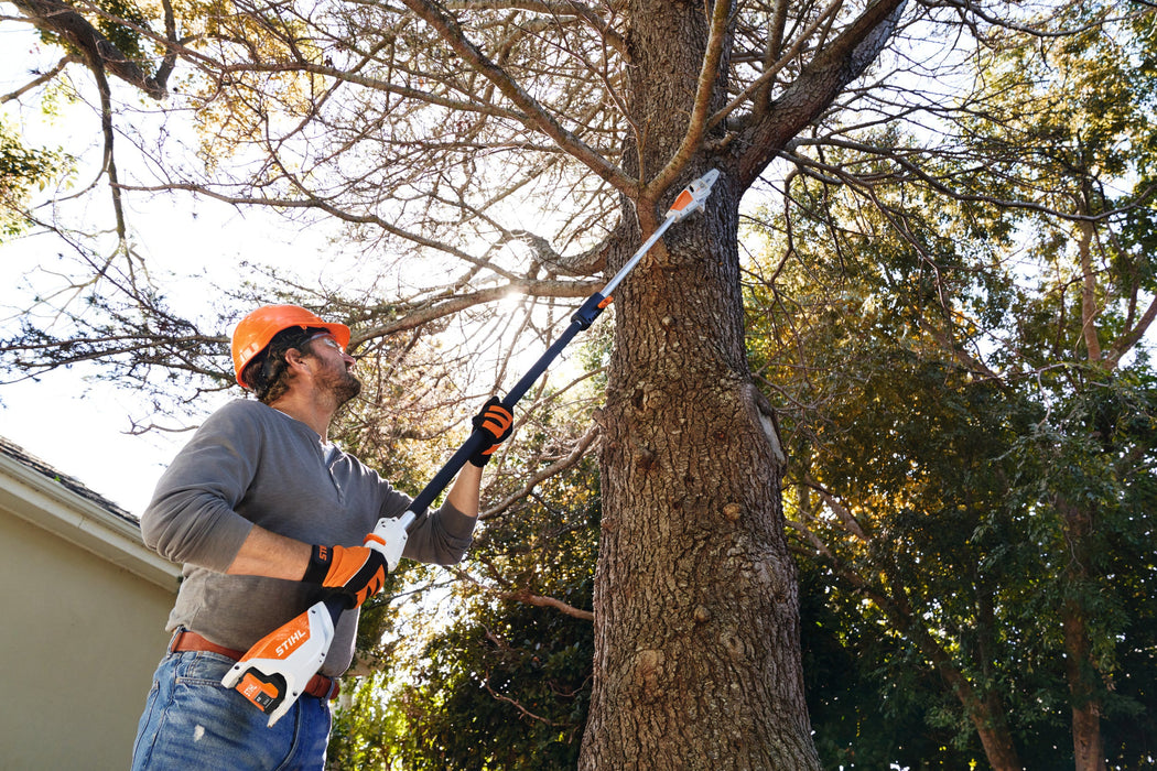 Stihl HTA 50 Cordless Pole Pruner