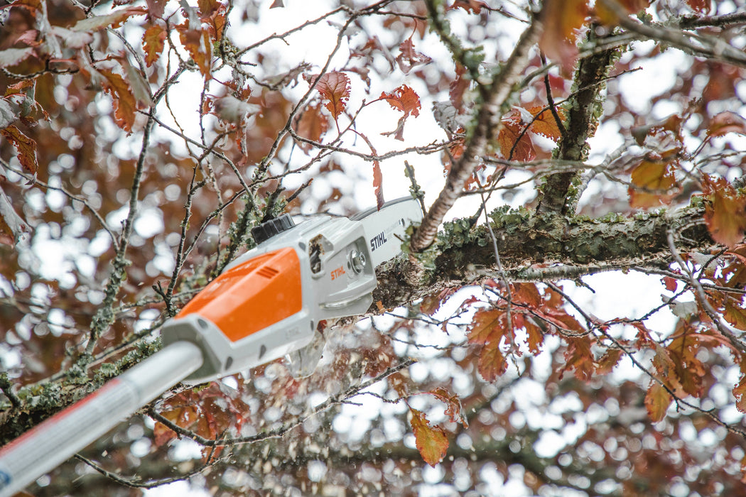 Stihl HTA 50 Cordless Pole Pruner